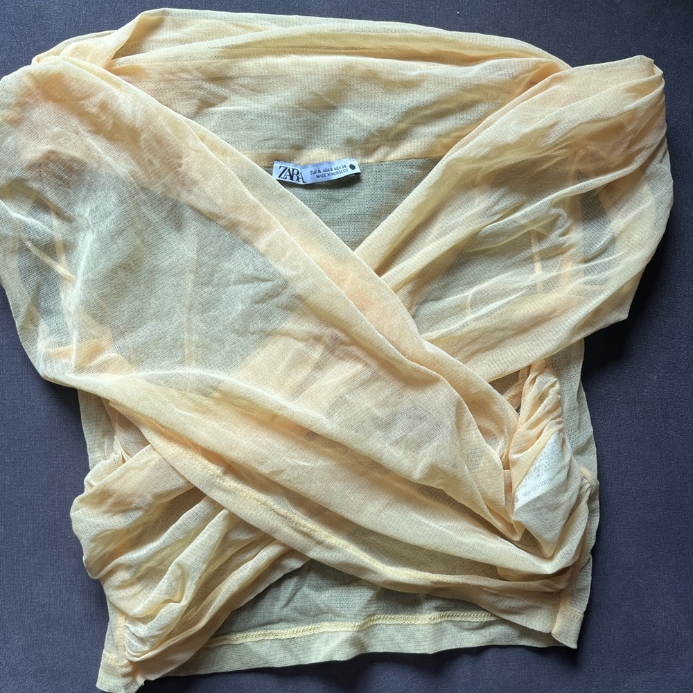 3/$10 Zara Mesh Crop Top
